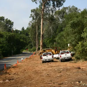 Removal of Eucalyptus trees along Mission Canyon Road