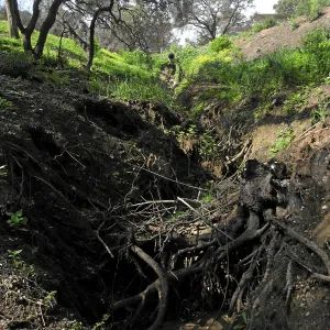 Erosion on Pritchett trail