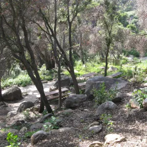 One year after Jesusita Fire. Picnic area on Campbell Trail