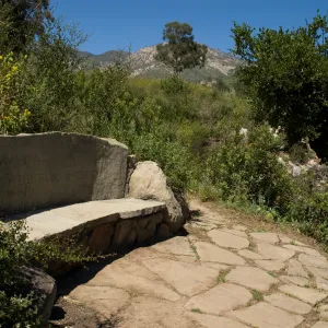 stone Pritchett Bench on the Pritcehtt Trail, SBBG 2 years after the Jesusita Fire