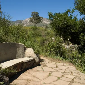 stone Pritchett Bench on the Pritcehtt Trail, SBBG 2 years after the Jesusita Fire