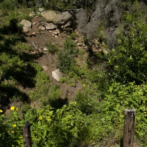 wood bench location with view into the Canyon from Pritchett Trail, SBBG 2 years after the Jesusita Fire