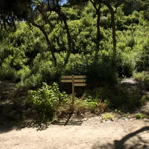 Directional sign in the Canyon, SBBG 2 years after the Jesusita Fire