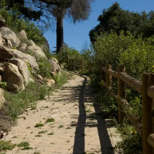 Campbell Trail, SBBG 2 years after the Jesusita Fire