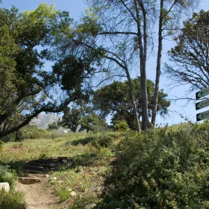 entrance to the Porter Trail loop, SBBG 2 years after the Jesusita Fire