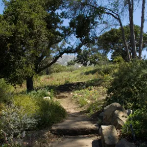 entrance to the Porter Trail loop, SBBG 2 years after the Jesusita Fire