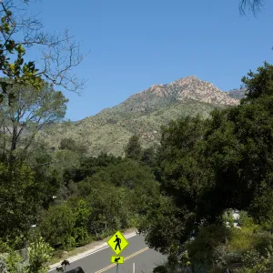 Porter Trail, view to Mission Canyon Road, La Cumbre Peak and Cathedral Peak, SBBG 2 years after the Jesusita Fire