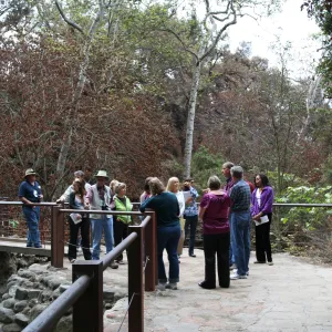 Docent Graduation and Fire Walk after the Jesusita Fire