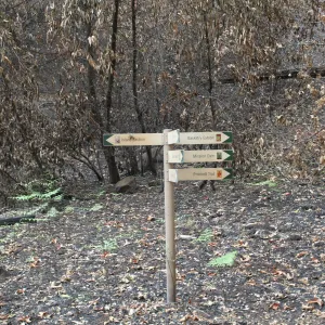 SBBG Fire Walk in the Garden, one month after Jesusita Fire, directional signage in the Canyon 