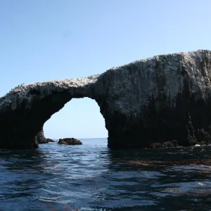 Arch Rock, Anacapa Island, SBBG field trip, 2008