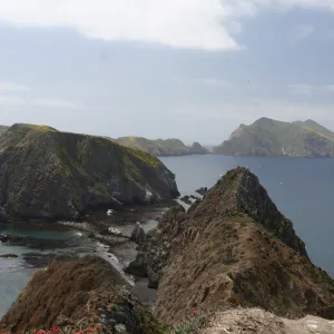 multiple island view, Anacapa Island, SBBG field trip, 2008