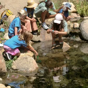 exploring life in the Pond, SBBG Summer Nature Camp, 2006