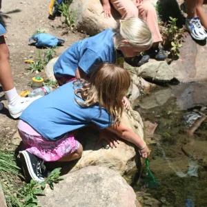 exploring life in the Pond, SBBG Summer Nature Camp, 2006