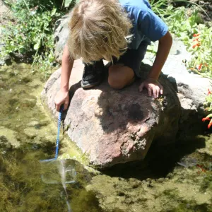 exploring life in the Pond, SBBG Summer Nature Camp, 2006
