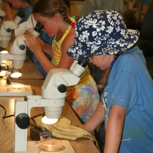 using microscopes in the Arroyo Room, SBBG Summer Nature Camp, 2006