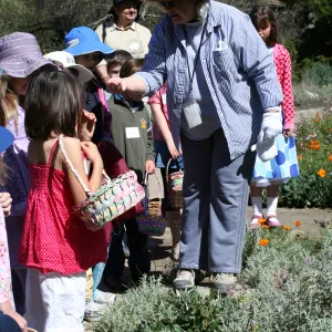 SBBG Egg Hunt, 2009