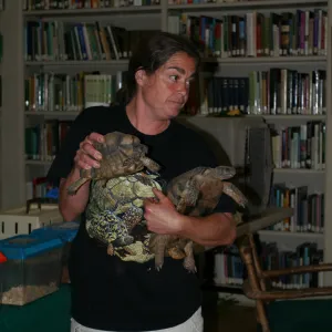 reptiles in the Blaksley Library, SBBG Summer Nature Camp, 2009