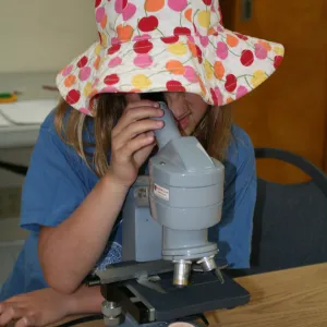 using microscopes in the Arroyo Room, SBBG Summer Nature Camp, 2009
