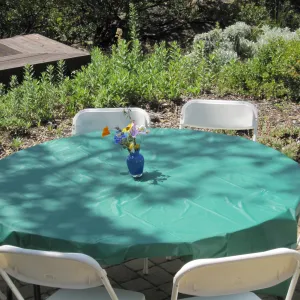 wildflower floral arrangement, SBBG Volunteer Luncheon, 2011