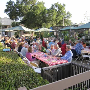 picnic tables in the Courtyard, SBBG Members Picnic, 2011