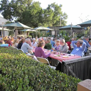 picnic tables in the Courtyard, SBBG Members Picnic, 2011