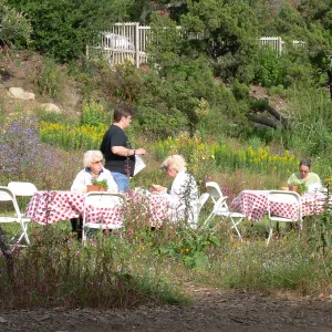 SBBG Members Picnic, 2009