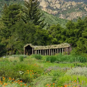 Herb Parker sculpture in the Meadow, Santa Barbara Botanic Garden, March 2011, © Gary Margeson