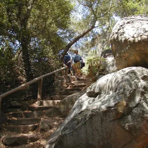 Canyon staircase, SBBG Summer Nature Camp, 2002