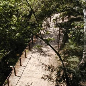 view from Canyon rim down to the top of the Mission Dam, SBBG
