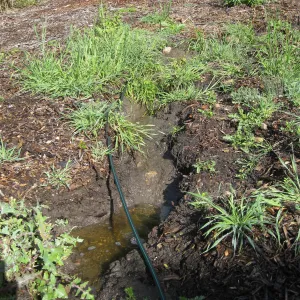 Erosion caused by heavy rain in the Tunnel Triangle