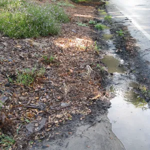 Erosion caused by heavy rain in the Tunnel Triangle