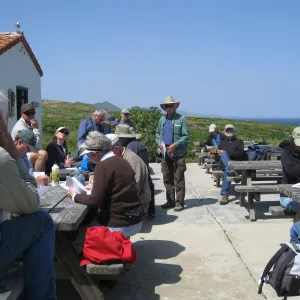 Anacapa Island, Garden trip led by Steve Junak
