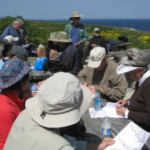 Anacapa Island, Garden trip led by Steve Junak