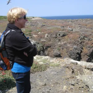 Anacapa Island, Pamme Windhager