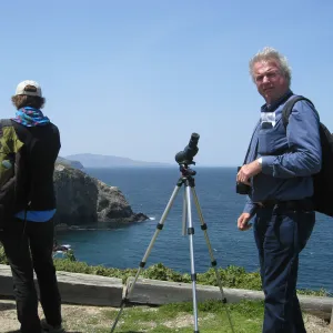 Anacapa Island, Patrick McNulty