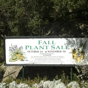 banner at Entrance boulder, SBBG Fall Plant Sale, 2010