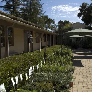 plants with care cards in the Courtyard, SBBG Fall Plant Sale, 2010