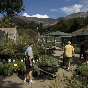 Courtyard, Garden Growers Nursery, SBBG Fall Plant Sale, 2010