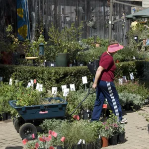 Courtyard, Garden Growers Nursery, SBBG Fall Plant Sale, 2010