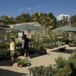 Courtyard, Garden Growers Nursery, SBBG Fall Plant Sale, 2010