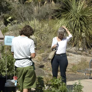 Courtyard, SBBG Fall Plant Sale, 2010