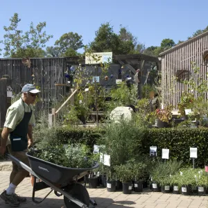 Courtyard, Garden Growers Nursery, SBBG Fall Plant Sale, 2010
