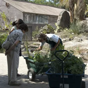 SBBG Fall Plant Sale, 2010