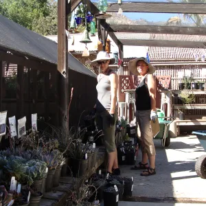 SBBG staff and volunteers prepare for the Spring Plant Sale, 2011