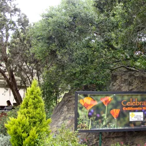 'Celebrate Natives, California Native Plant Week', 2011, banner at Garden Entrance boulders