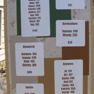 volunteer hours display, SBBG Volunteer Luncheon, 2011