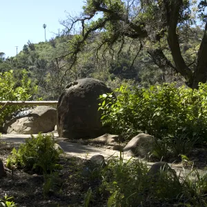 Canyon overlook, SBBG, 2 years after the Jesusita Fire