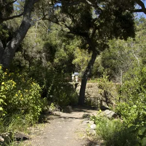 view from Fiber Arts location to visitors on top of Mission Dam, SBBG, 2 years after the Jesusita Fire