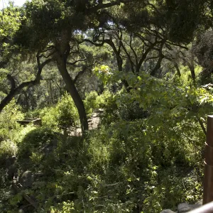 top of Mission Dam, SBBG, 2 years after the Jesusita Fire