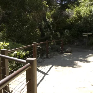 top of Mission Dam, SBBG, 2 years after the Jesusita Fire